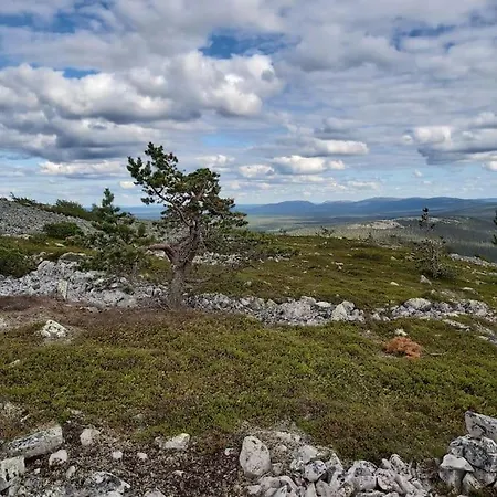 Lapintaika *